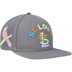 Men's St. Louis Cardinals Pro Standard Gray Washed Neon Snapback Hat