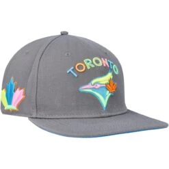 Men's Toronto Blue Jays Pro Standard Gray Washed Neon Snapback Hat
